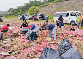ORANG ramai mengutip telur selepas sebuah lori yang membawa muatan itu terbalik dirempuh sebuah lori lain di Kilometer 293.8 Lebuhraya Pantai Timur 2 selepas susur keluar Plaza Tol Chukai, Kemaman, Terengganu, hari ini. -UTUSAN/NIK NUR IZZATUL HAZWANI NIK ADNAN