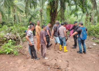 SEBAHAGIAN  individu termasuk pengedar dan penagih dadah yang berjaya ditahan dalam Op Sarang yang digerakkan seluruh Melaka dari 27 Mac hingga semalam.