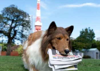 TOCO ketika mengenakan kostum anjing realistik. – AGENSI