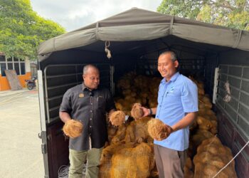 MUHAMAD Fadlee Hassan (kiri) menunjukkan bekalan kelapa tua yang tiba di pusat operasi FAMA dekat Chendering, Terengganu hari ini. - UTUSAN/KAMALIZA KAMARUDDIN