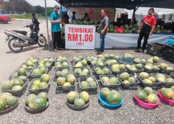 JAMALUDIN Angah menunjukkan harga termbikal kepada pelanggan RM1 sekilogram yang dijual   di Jalan Sungai Manik - Teluk Intan., Perak semalam, 
– UTUSAN/AIN SAFRE BIDIN