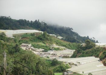 PEMBUKAAN tanah besar-besaran untuk pertanian dibimbangi akan memberi kesan buruk terhadap bekalan air di Cameron Highlands.