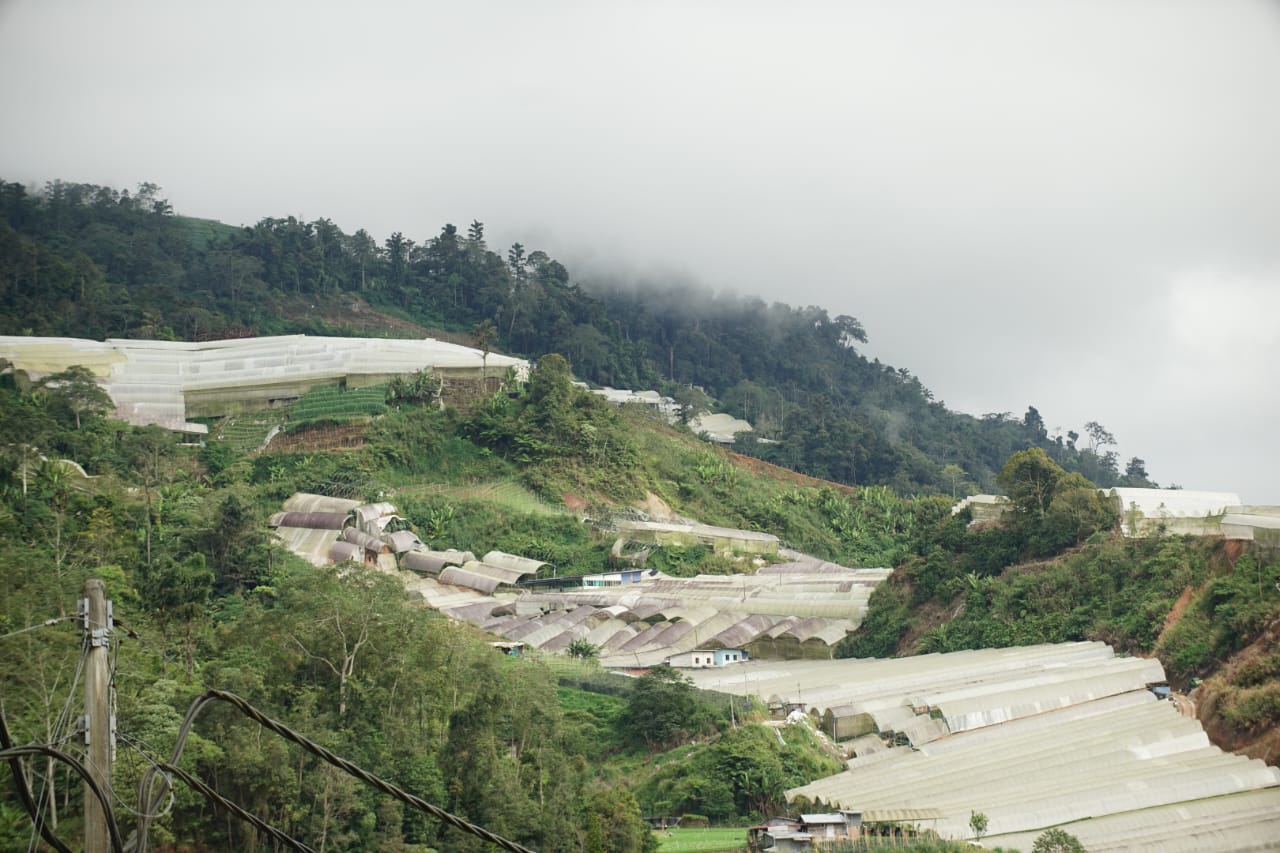 Cameron Highlands berisiko alami masalah bekalan air