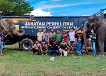 PENDUDUK Felda Jengka Satu bergambar bersama Rambai (kiri) dan Senum setelah tamat misi menangkap gajah liar di Maran, Pahang.