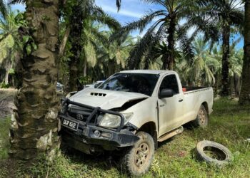 KEADAAN trak pikap yang dipandu mangsa selepas terbabas lalu merempuh pokok kelapa sawit di Kilometer 14, Jalan Gua Musang-Jeli di Gua Musang, Kelantan hari ini.-IHSAN POLI
