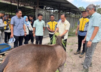 AHMAD Maslan (tengah) memberi makanan kepada rusa sambar yang berada di Pusat Konservasi Hidupan Liar (PKHL) Gua Musang, Kelantan.UTUSAN/AIMUNI TUAN LAH.