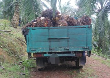 KENDERAAN yang disita polis setelah digunakan suspek untuk mencuri kelapa sawit di Bera.