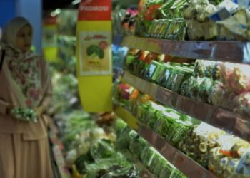 SUMBANGAN Tunai Rahmah (STR) akan menjadi inisiatif yang baik jika ia disusuli langkah-langkah sokongan tambahan seperti pembangunan kemahiran, latihan dan pemantauan yang telus dalam pengagihan bantuan.