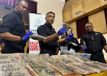 MAT Zani @ Mohd Salahuddin (dua dari kiri) menunjukkan sebahagian daripada ganja dan bunga ganja yang dirampas ketika sidang akhbar di IPD SPU, Kepala Batas, Pulau Pinang hari ini. - UTUSAN/SITI NUR MAS ERAH AMRAN