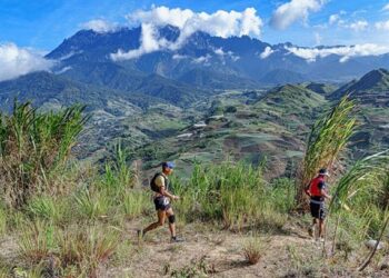 PESERTA larian denai menyelusuri pemandangan cantik berlatar belakangkan Gunung Kinabalu.