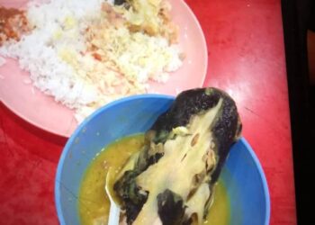 NASI dengan lauk ikan patin yang didakwa berbau busuk yang dimakan seorang wanita di Hentian Rehat dan Rawat Paka di Dungun, Terengganu yang tular dalam laman sosial Facebook. - MEDIA SOSIAL