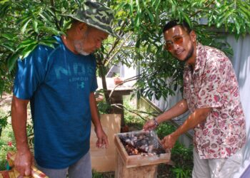 MOHD. ZAMRI Sharief dan bapa saudaranya, Abdullah Saadon menunjukkan madu kelulut yang dihasilkan di Kampung Gubah, Alor Gajah, Melaka. - UTUSAN/AMRAN MULUP