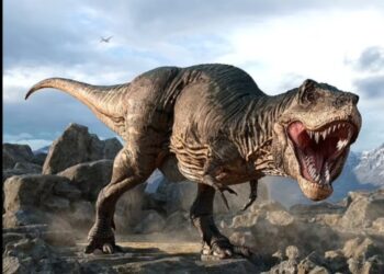Projek itu akan menggunakan serpihan kolagen yang diekstrak daripada fosil T.Rex yang ditemui pada tahun 1988 di Montana, Amerika Syarikat. – AGENSI