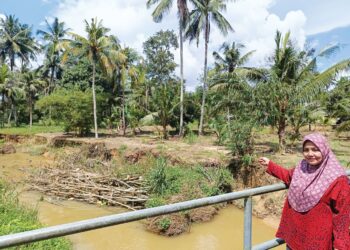 LINA Ahmad menunjukkan hakisan tebing sungai yang semakin teruk sehingga membimbangkan penduduk di Kampung Tengah, Gemencheh, Tampin. – UTUSAN/NOR AINNA HAMZAH
