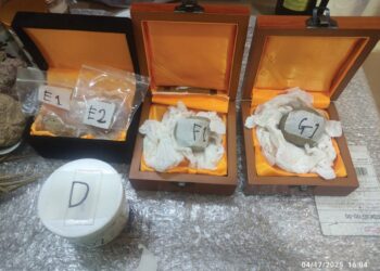 BATU landak raya yang dirampas Jabatan Perhilitan di Bandar Sungai Long, Kajang, Selangor, Khamis lalu.