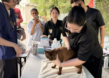 PETUGAS NGO meneriksa seekor kucing yang terkesan akibat kejadian kebakaran saluran paip gas di Putra Heights, Subang Jaya, Selangor, semalam.