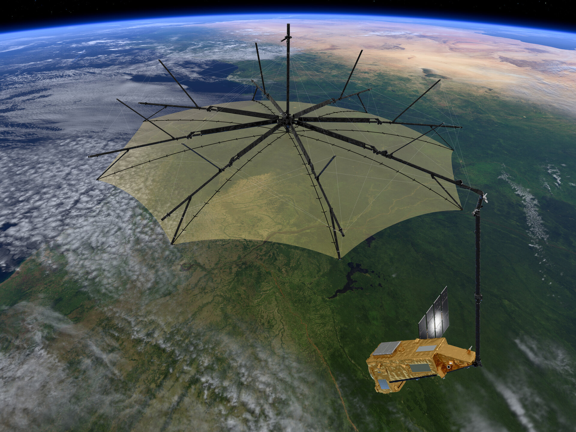 Satelit Biomass bantu hasilkan peta 3D hutan tropika terpencil dunia