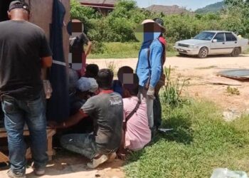 SEBAHAGIAN PATI yang ditahan JIM Kelantan dalam operasi di sekitar Kelantan semalam.-IHSAN JIM KELANTAN