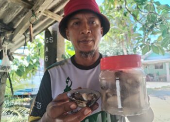 ROSDI Che Lah menunjukkan lokan disejuk beku yang dijual di gerainya
di Kampung Pengkalan Gelap, Setiu, Terengganu. – MINGGUAN/WAN
ZURATIKAH IFFAH WAN ZULKIFLI