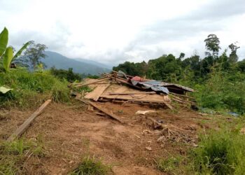 BANGSAL kebun dan tanaman penduduk Orang Asli yang dirosakkan gajah liar di Kampung Tendrik, Pos
Bihai, Kelantan.
