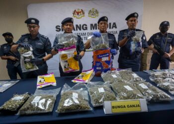 AHMAD Taufik Sulaiman (tiga kanan) menunjukkan ganja yang dirampas di Kompleks Kastam Kargo KLIA.. - UTUSAN/FAISOL MUSTAFA