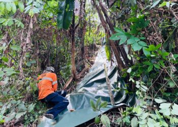 KERJA-KERJA memasang kanvas dilakukan bagi mengelak batu daripada jatuh ke jalan raya di sekitar Jalan Paya Terubong, Pulau Pinang.