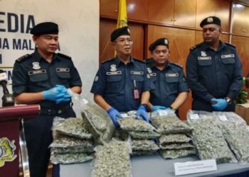 AHMAD TAUFIK Sulaiman (dua kiri) menunjukkan bunga ganja yang diisytiharkan sebagai buku, pakaian dan alatan permainan terbongkar dalam satu operasi di Pusat Mel dan Kurier, Lapangan Terbang Antarabangsa Kuala Lumpur (KLIA).