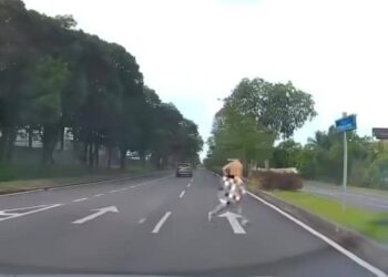TANGKAP layar video lelaki yang berlari bogel itu.