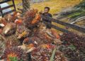 PENGELUARAN MSM dari awal tahun sehingga kini menurun sebanyak 5.9 peratus tahun ke tahun kepada 3.82 juta tan.