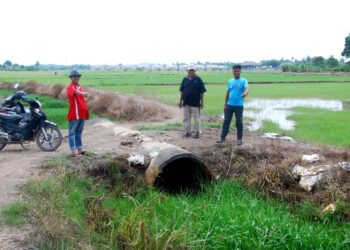Gafar Mahmud (depan), Musa Arib dan Firdaus Musa menunjukkan parit yang dipenuhi rumput tebal hingga menyebabkan saliran air terhalang di Kampung Pinang, Klebang, Melaka. - UTUSAN/AMRAN MULUP
