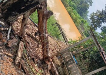 KEADAAN pokok durian yang disambar petir dalam kejadian di Kampung Batang Melaka, Jasin, Melaka.