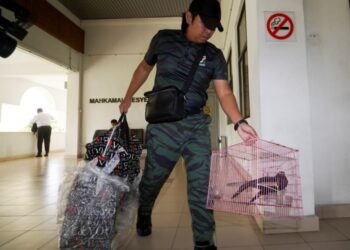 MASYARAKAT perlu bertindak sebagai mata dan telinga pihak berkuasa dengan melaporkan sebarang aktiviti mencurigakan berkaitan hidupan liar.