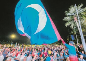 RAMAI dalam kalangan ahli PKR menyuara kelemahan sistem pengundian dalam talian dalam  pemilihan parti.