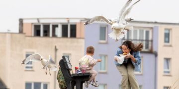 BANDAR Aberdeen menerima hampir 200 aduan berkaitan serangan burung camar terhadap penduduk setiap tahun. – AGENSI
