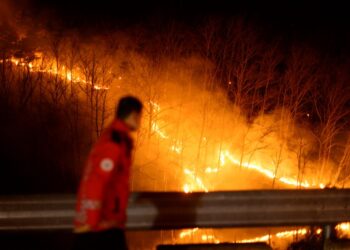 ANGGOTA Perkhidmatan Hutan Korea memantau kebakaran yang melanda hutan di wilayah Andong, Korea Selatan, pada 27 Mac lepas.- AFP