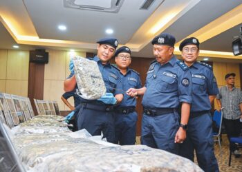 Mohd. Asri Seman menunjukkan ganja yang dirampas daripada sindiket penyeludupan dadah melalui bungkusan kurier di Kuantan, Pahang semalam.  – UTUSAN/NAIM HELMI HAFIDZI