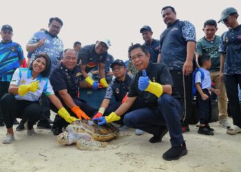 Pantai di daerah ini perlu diwartakan sebagai kawasan pendaratan penyu.
