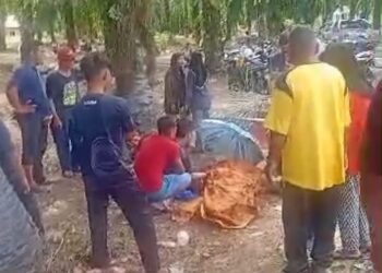 LOKASI kejadian seorang lelaki warga emas yang maut selepas dihempap buah kelapa sawit Batu 7, Ijok, Bestari Jaya, Kuala Selangor, semalam.