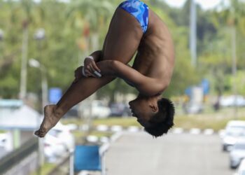 Elvis Priestly Clement menamatkan kempen sulung kejohanan dunianya dengan menduduki tempat ke-16 dalam acara separuh akhir 10 meter platform lelaki yang berlangsung di Pusat Akuatik OCBC, Singapura.