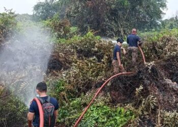ANGGOTA bomba dan penyelamat giat memadam kebakaran hutan di Kampung Mak Chili Paya, Kemaman, Terengganu. - UTUSAN/NIK NUR IZZATUL HAZWANI NIK ADNAN