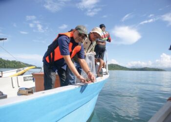 HASNOL Zam Zam Ahmad menunjukkan juvenil atau benih gamat emas yang akan dilepaskan ke laut untuk pembiakan di bawah Projek Rehabilitasi dan Konservasi Gamat Emas Langkawi di Pulau Singa Besar, Langkawi. – UTUSAN/SHAHIR NOORDIN