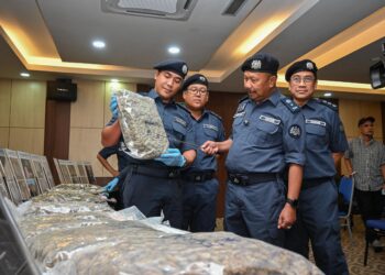 MOHD. Asri Seman (dua dari kanan) menunjukkan ganja yang keseluruhannya bernilai RM1.4 juta dalam sidang akhbar di Wisma Kastam Sultan Ahmad Shah, Indera Mahkota di Kuantan, Pahang. - FOTO/MUHAMMAD NAIM HELMI HAFIDZI