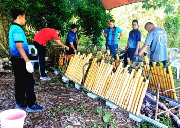 Penduduk bergotong-royong membakar lemang buluh kuning untuk juadah jamuan Aidilfitri di Kampung Bantal, Ulu Tembeling, Jerantut baru-baru ini. – UTUSAN/HARIS FADILAH AHMAD