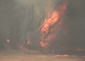 kesan kemusnahan akibat kebakaran hutan di sepanjang lebuh raya berhampiran bandar Bet Shemesh di tengah Israel.  – AFP