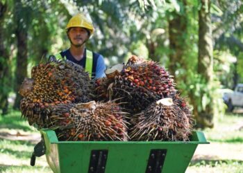 MELALUI
sistem yang sistematik akan dapat mengangkat martabat dan melonjakkan ekonomi kepada lebih 100,0000
peneroka di seluruh negara.