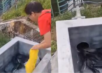 TANGKAP layar video tular memaparkan individu daripada sebuah NGO yang melepaskan puluhan ekor ikan keli Afrika menggunakan saluran khas ke sungai berhampiran Jalan Lee Sam, Seremban.