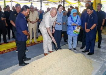 SULTAN Nazrin Shah bersama Tuanku Zara Salim melihat benih padi yang dihasilkan Pusat Pengeluaran Benih Padi Pertubuhan Peladang Negeri Perak di Parit Buntar, semalam. – utusan/MUHAMAD NAZREEN SYAH MUSTHAFA