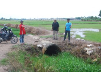 PESAWAH menunjukkan tali air dilitupi semak samun menyebabkan air tidak dapat masuk ke bendang sawah di Kampung Pinang, Klebang, Melaka.-UTUSAN/AMRAN MULUP