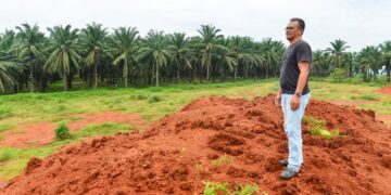 KEADAAN ladang sawit yang telah ditarah untuk mengambil bauksit di Felda Bukit Goh, Kuantan, Pahang.-MINGGUAN/SHEIKH AHMAD RAZIF