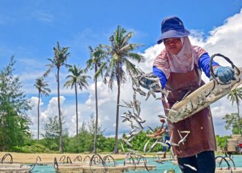 INDUSTRI ikan bilis kering di  Kampung Benting Lintang  turut memberi peluang pekerjaan kepada penduduk setempat termasuk golongan warga emas di bengkel pemprosesan.-MINGGUAN/PUQTRA HAIRRY